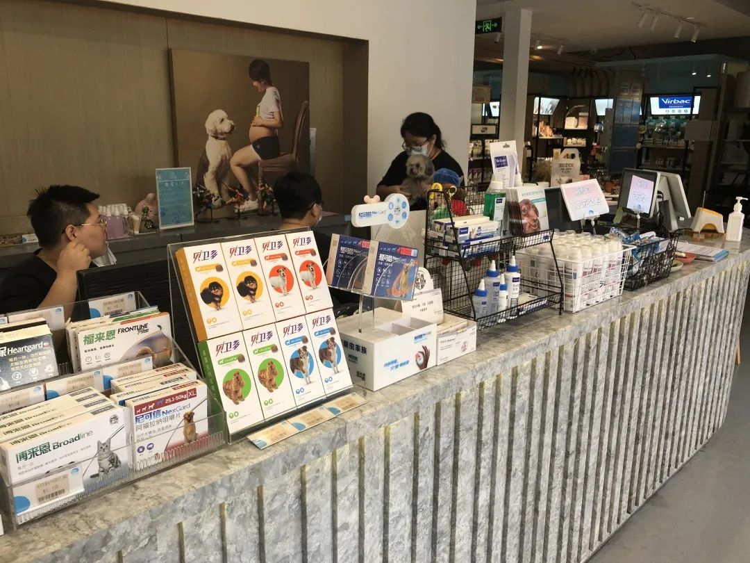 欢迎同行入内，这是一家为宠物店而开的宠物