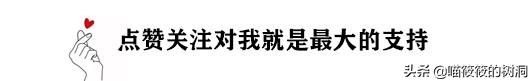 林子大了什么鸟都有不要瞎评论,林子大了什么鸟都有脸