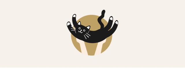 为啥猫猫拉完粑粑之后会疯跑,猫猫每次拉完屎就疯跑