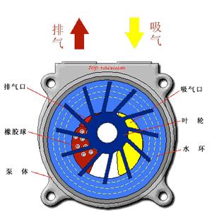 秒懂系列100个解析,秒懂系列好用吗