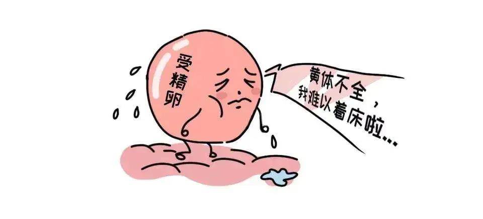 留不住受精卵的子宫内膜，究竟是被什么“坑”惨了？
