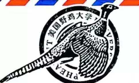 难辨真假的“野鸡大学”，文凭不被认可，考生深受其害