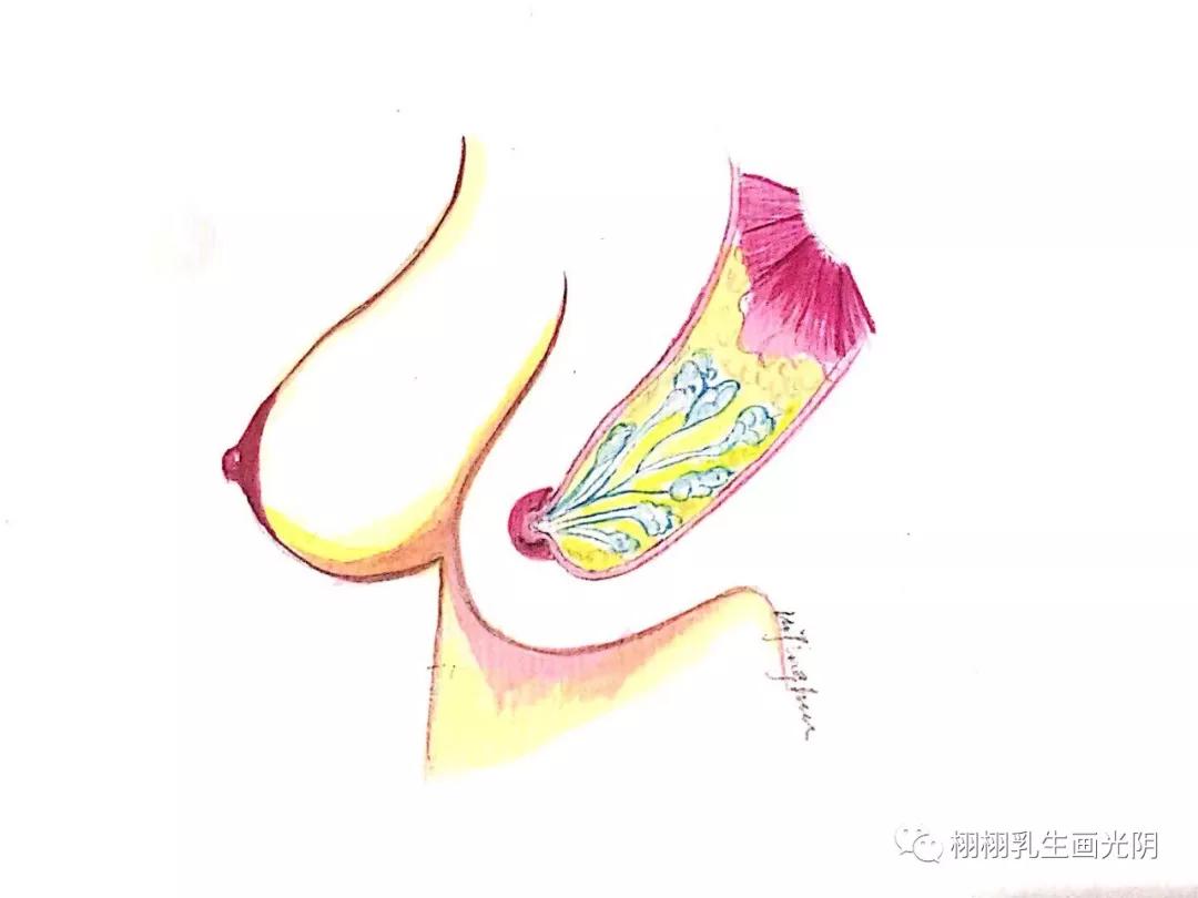 最贵的房子内部图片,最贵的房子内部