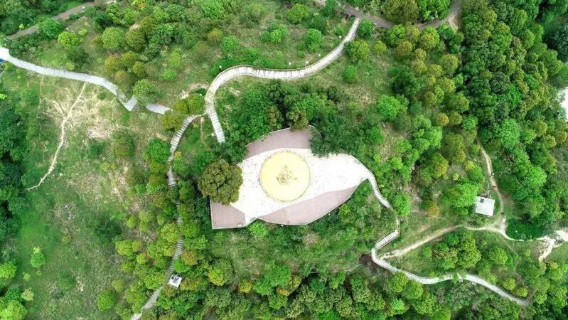 深圳花海公园推荐景点有哪些,深圳花海公园地址在哪里