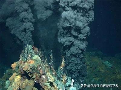 深海里能发光的动物,深海24米的巨型鲨鱼
