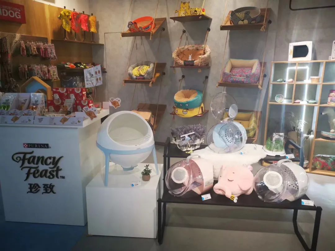 欢迎同行入内，这是一家为宠物店而开的宠物