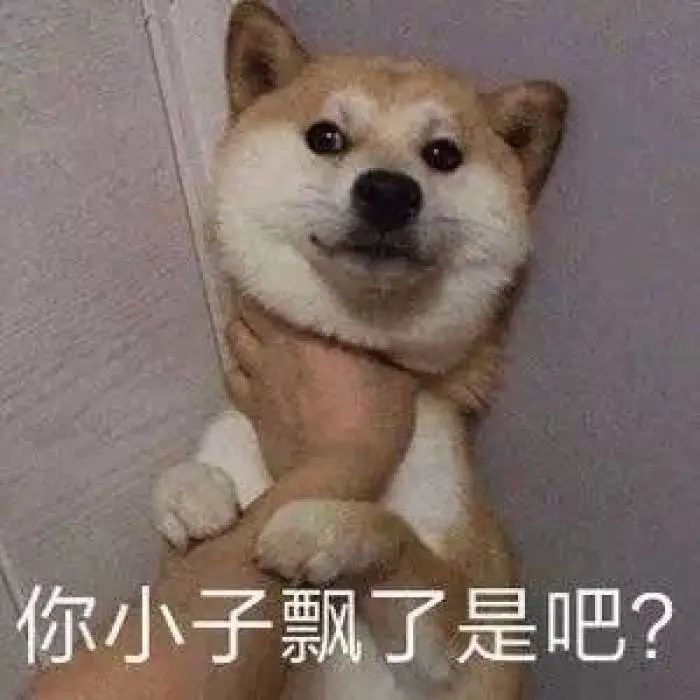 有了这个证，必要的时候可以救狗狗一命