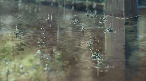 梅雨季节狗狗皮肤病怎么办,梅雨季猫癣症状