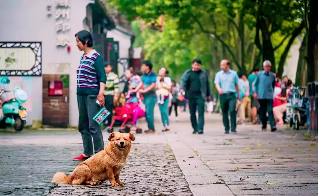 2021年苏州gdp与南京gdp,苏州市区gdp对比南京市区