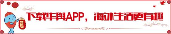 gucci纪梵希lv春节限定,纪梵希新年限定包