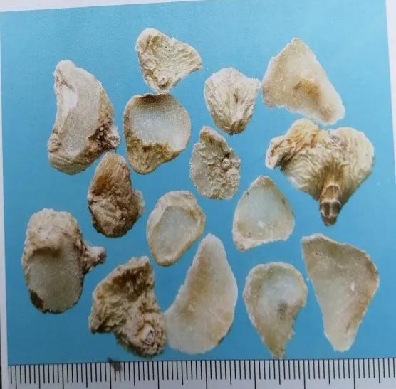 收敛止血的中成药有哪些,止血收敛的药有哪些
