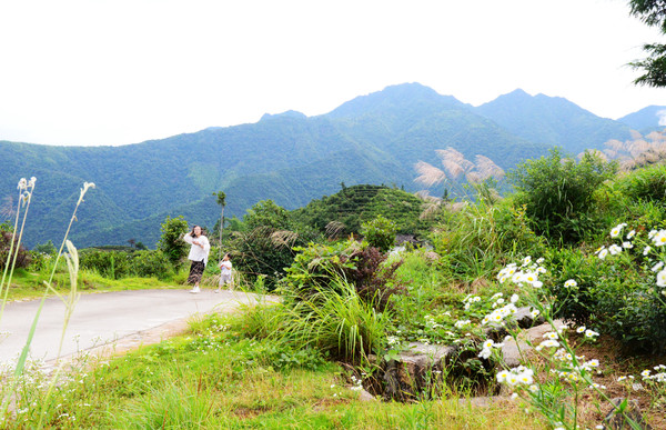 仙山岭，江西的“扎尕那”，万里茶道第一村，却被无数游客错过