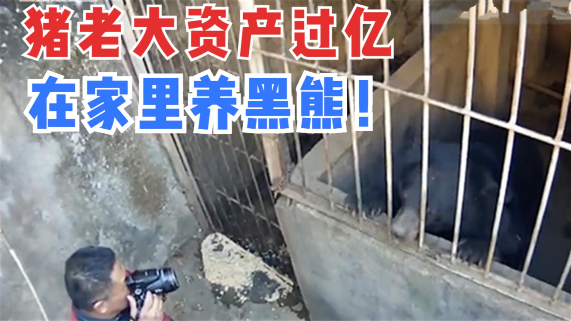 卖猪肉赚一个亿,卖猪肉卖出千万资产