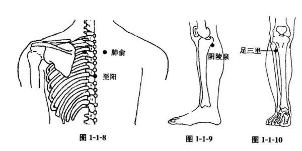 艾灸治疗感冒的正确方法,艾灸治疗感冒咳嗽视频