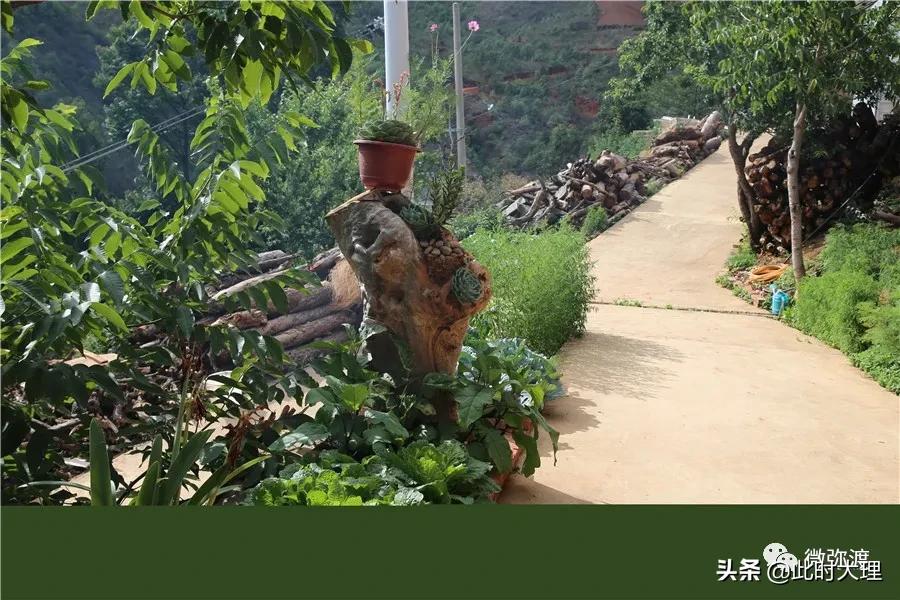 弥渡县这几个村人居环境大评比，结果怎么样？