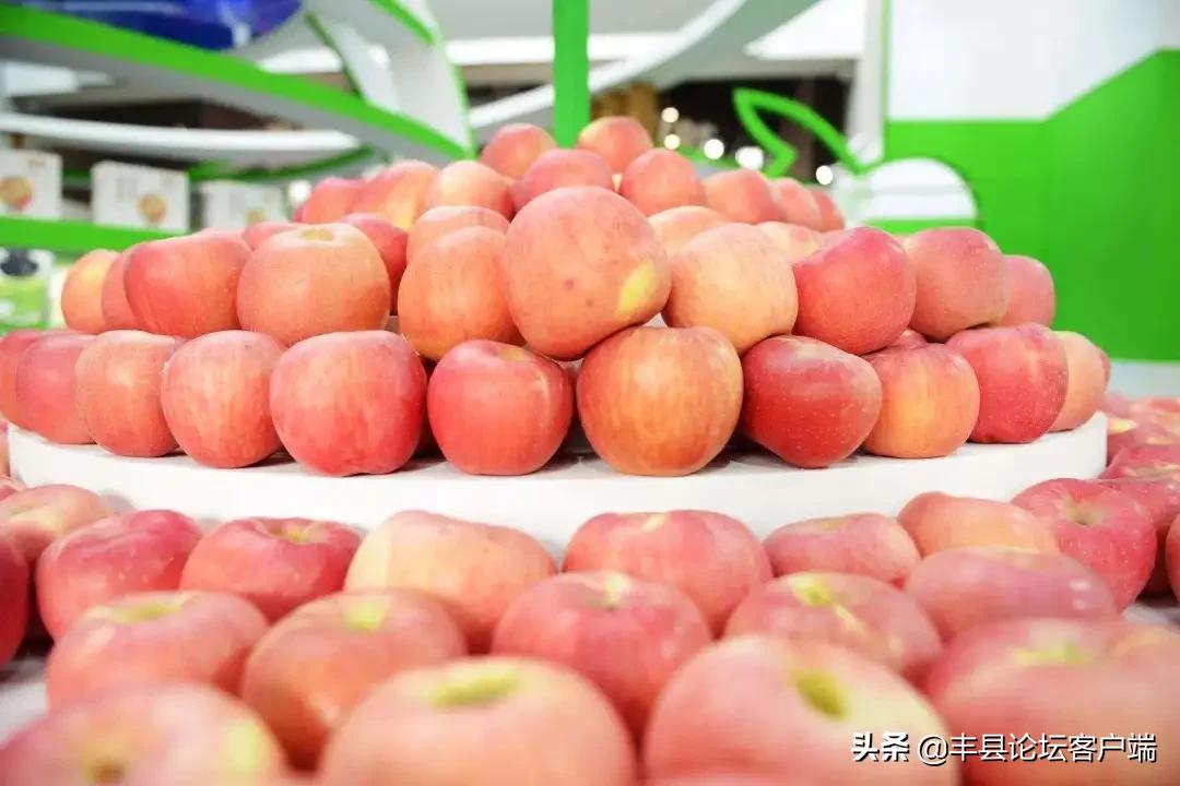2021丰县苹果节在哪里举行,丰县苹果节最新消息