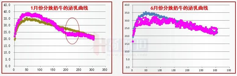 苏衍菁：牧场牛群应激防控管理与实践