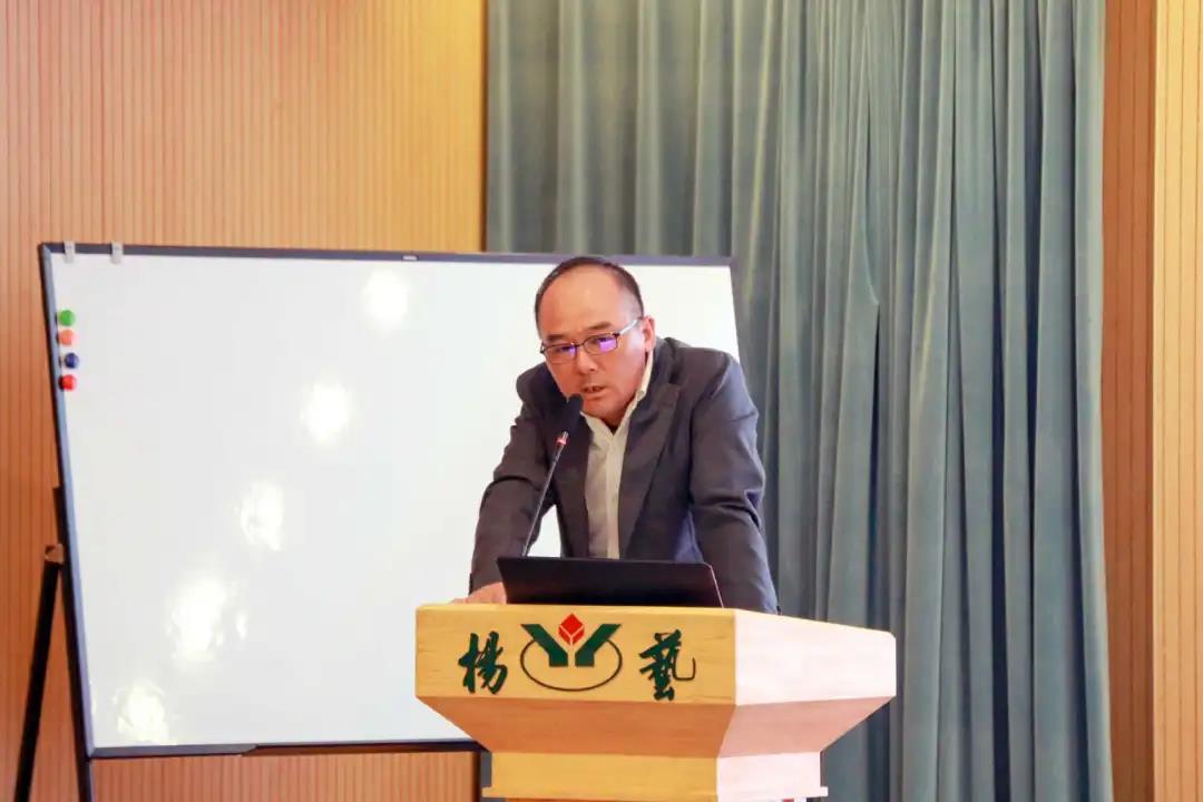 上海杨艺集团,杨艺集团最新公告