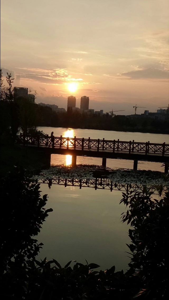 进入了抑郁症怎么办,从抑郁症里走出来的人会怎么样