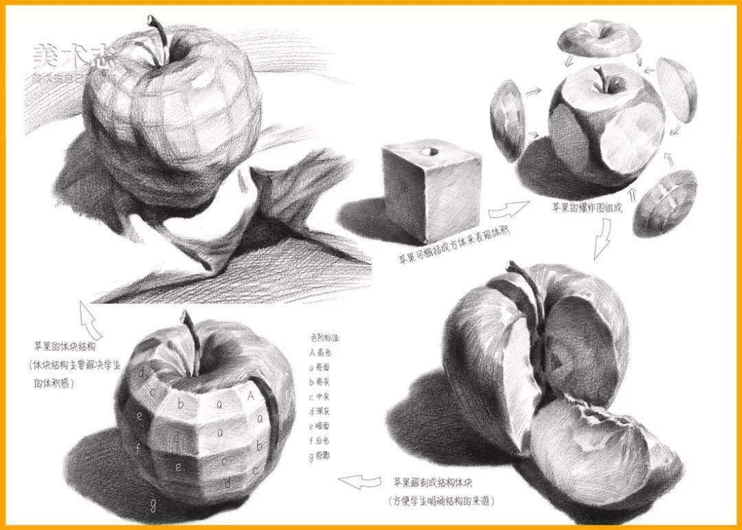 素描常见水果,适合新手的100幅素描画蔬菜水果
