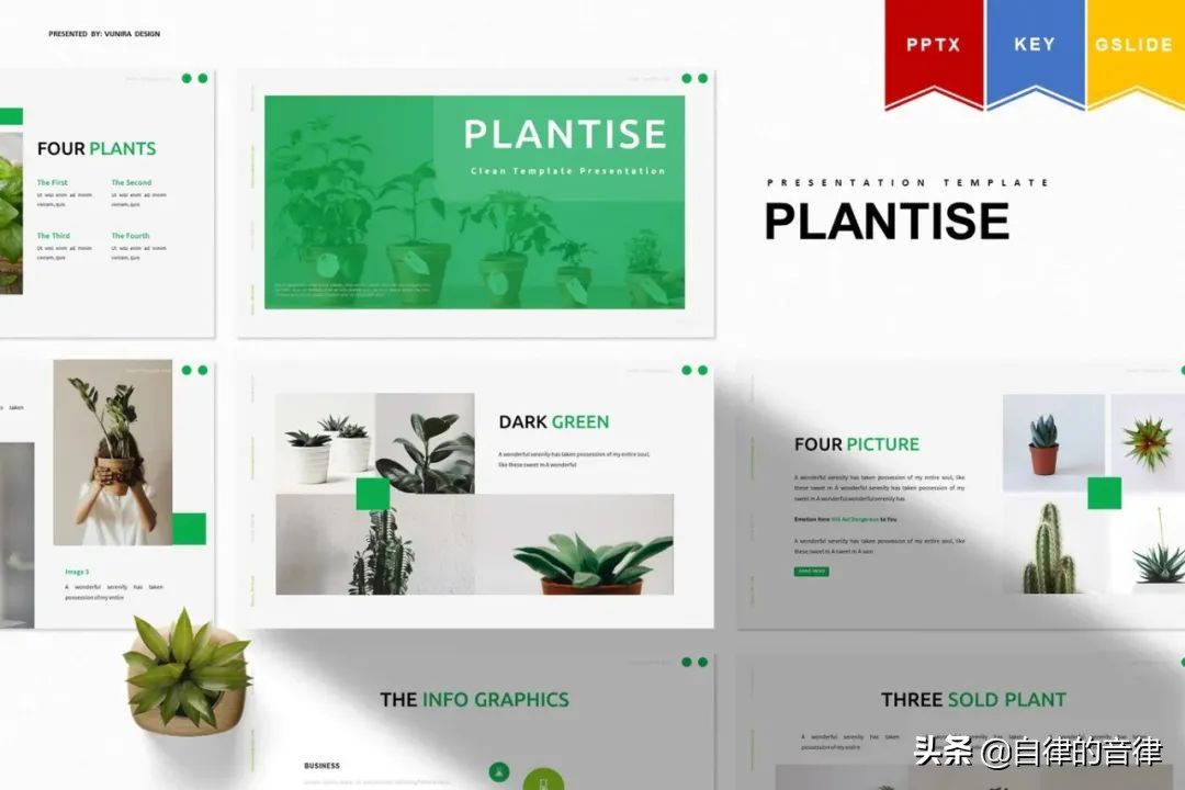 只要加些植物元素，你的PPT页面精致又有格调