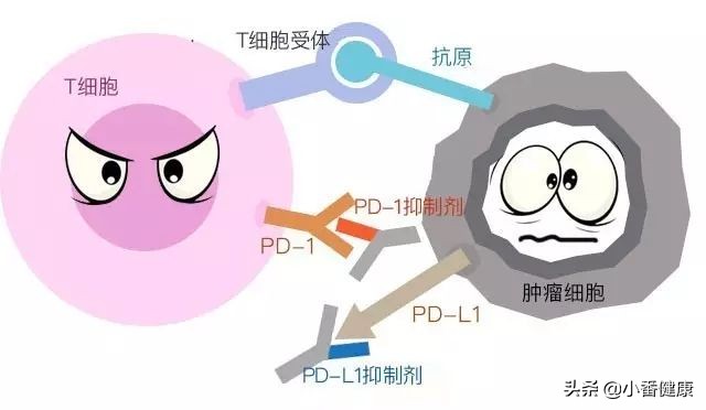 进入3期临床的乙肝新药,在研乙肝新药临床数据