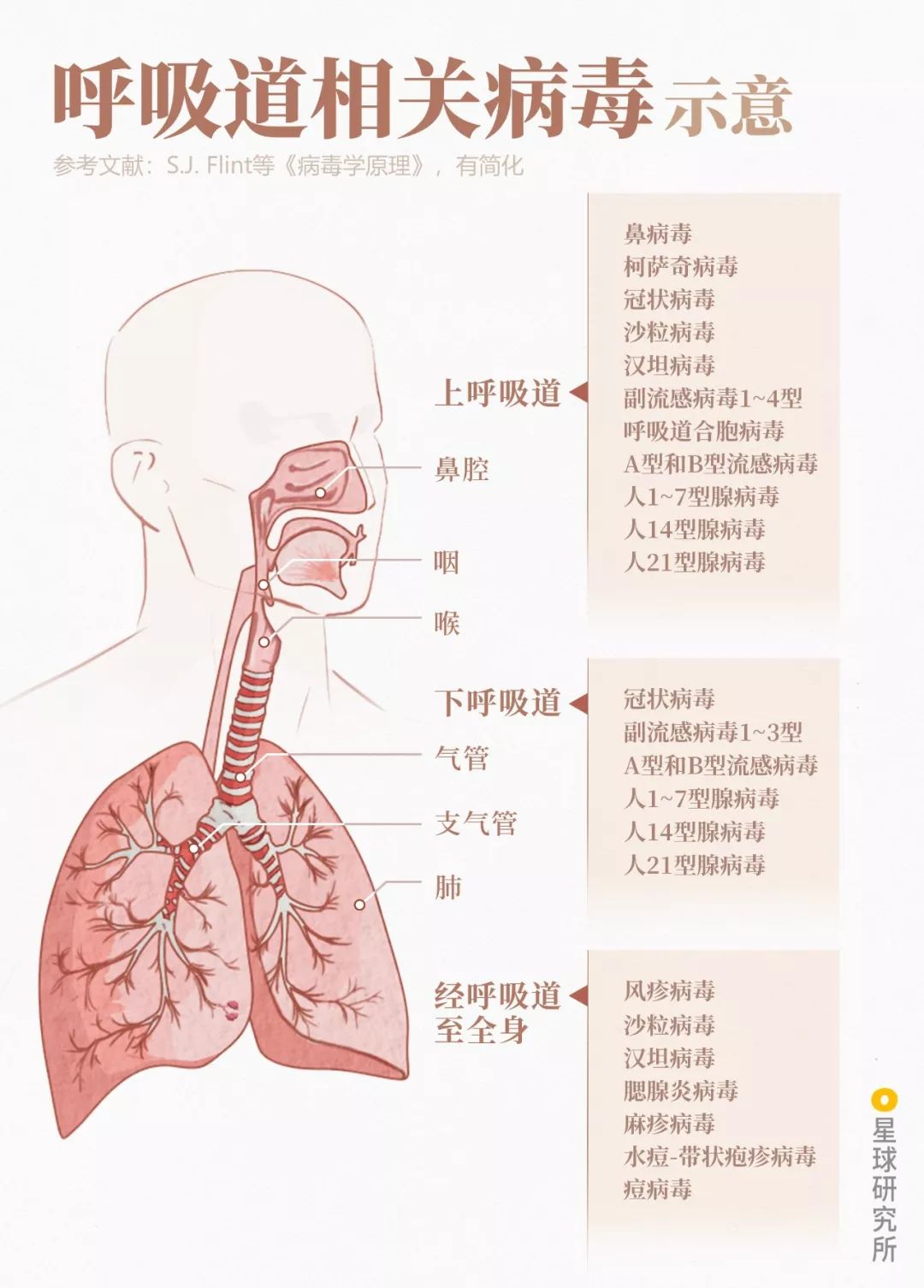 鍋囧鐥呮瘨鎰熸煋浜嗘垜,鍋囧鐥呮瘨鎰熸煋浜嗕綘