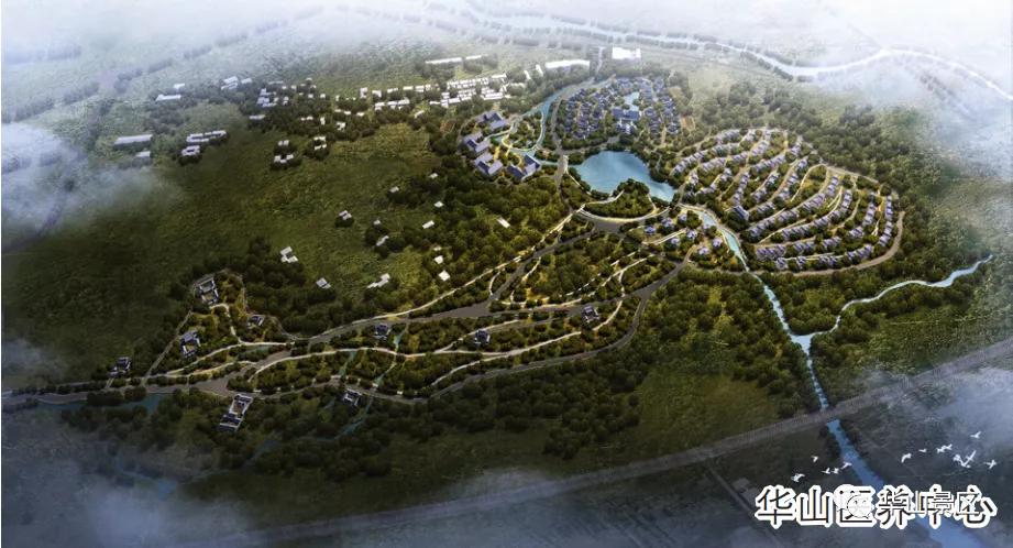 华山旅游集团最新公示,华山旅游集团工作会议