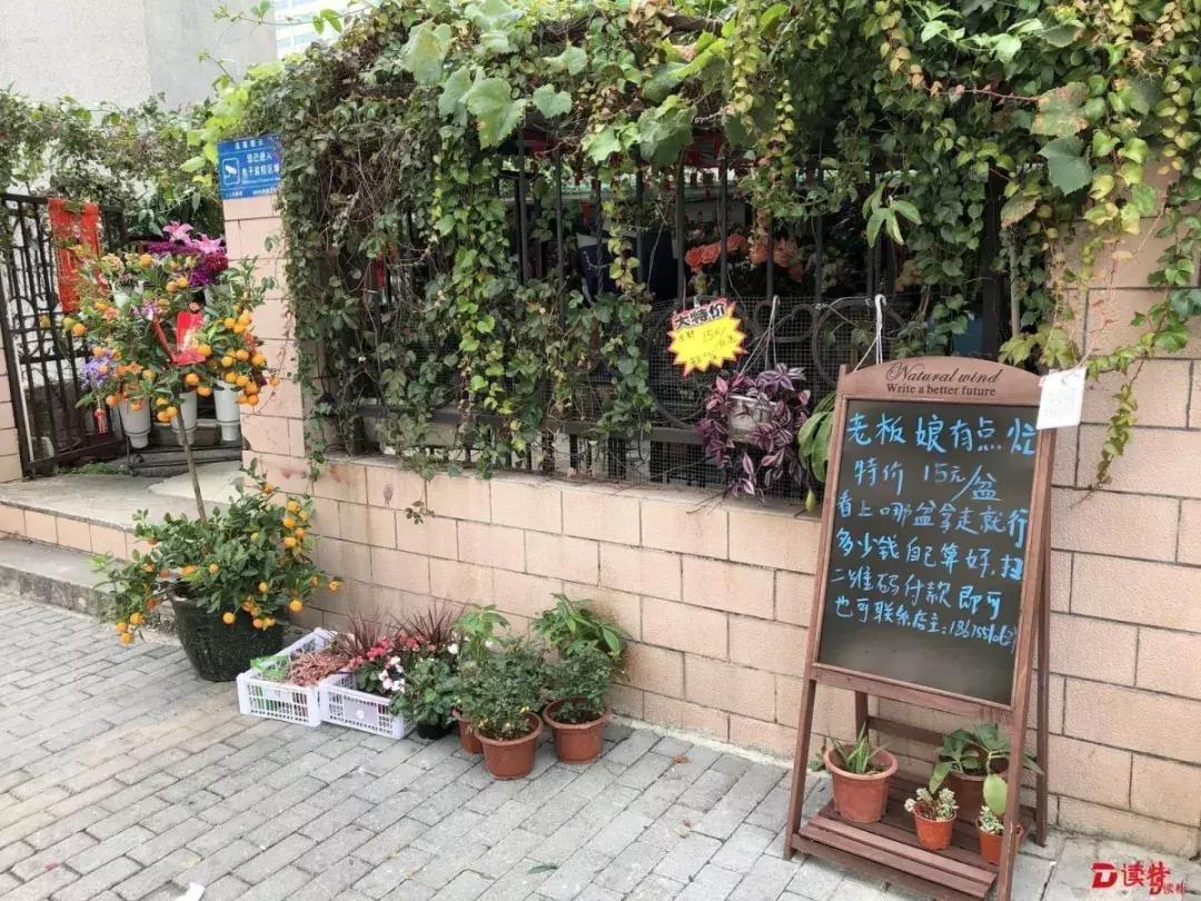 爆红的深圳“无人花店”90后美女店主来到编辑部，暖心故事还在继续……