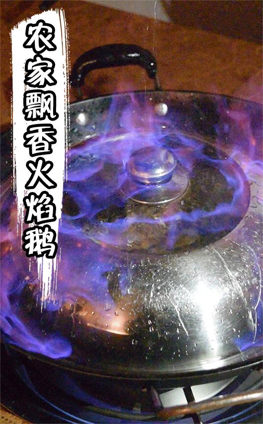 南海这间食鹅神店！14年来凭借一只鹅，从黄岐火到桂城！