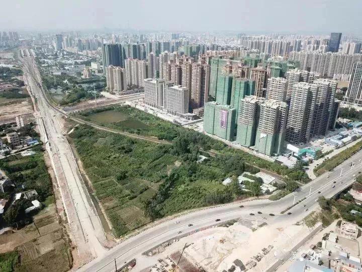 哪座城市能是粤西老大