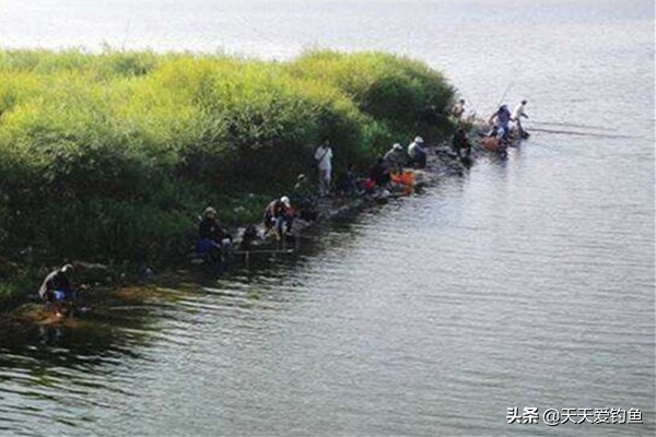 夜钓流水无漂钓法,夜钓鲫鱼滑漂钓法教学