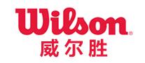 羽毛球拍前十最好的品牌,羽毛球拍十大品牌排行