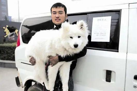 有了这个证，必要的时候可以救狗狗一命