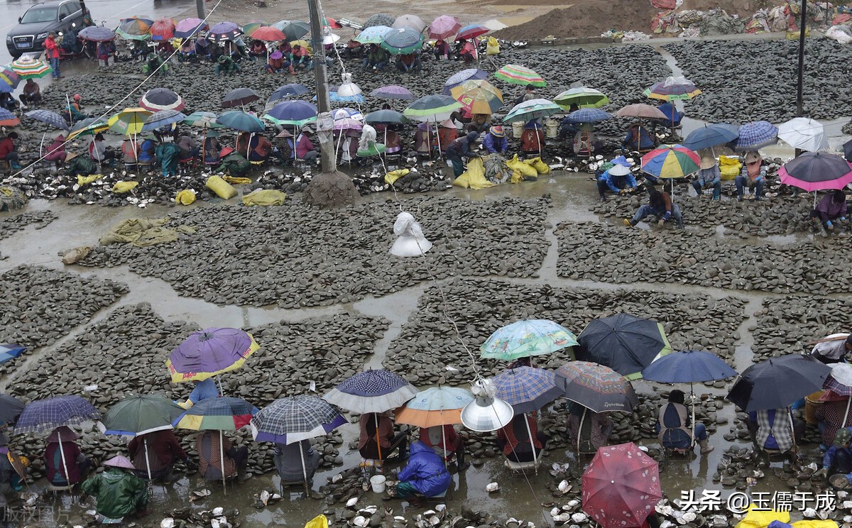 浙江绍兴诸暨山下湖玛瑙市场,中国最大玛瑙批发诸暨市场