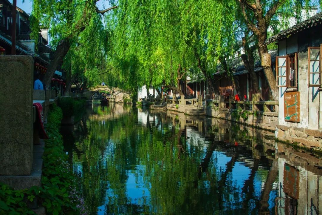 苏州和上海哪个值得去旅游,苏州这座清丽婉约的小城