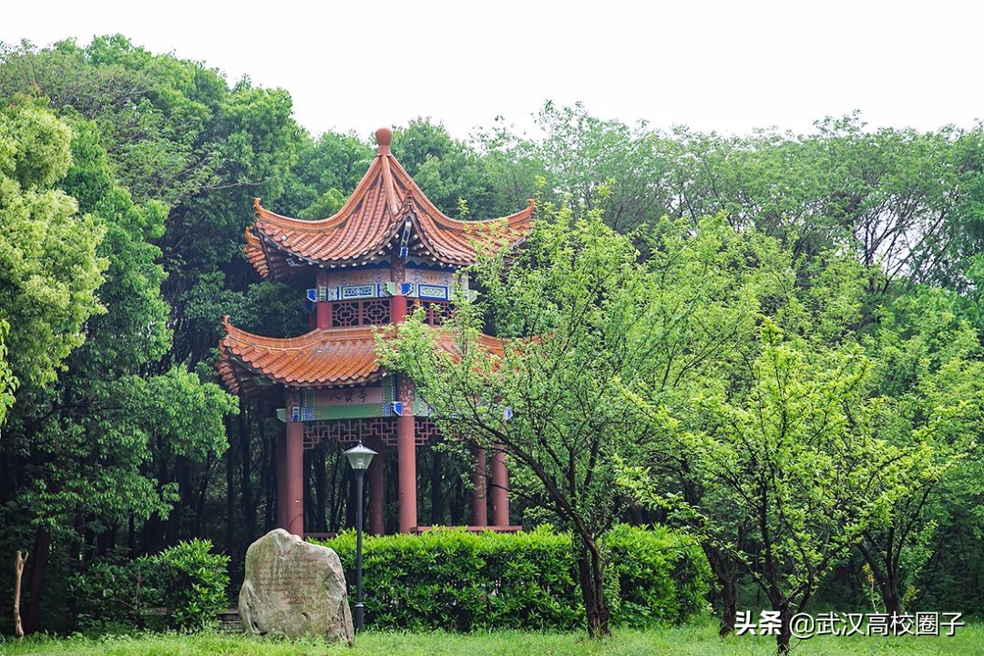 爸妈我想回家视频,爸妈我想回家了原视频