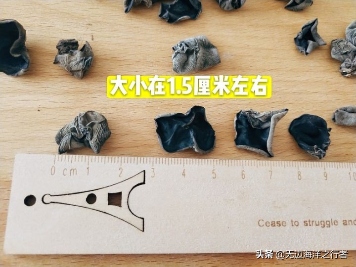 2022年3月1日黑木耳批发价格行情,黑木耳惠农网的批发价多少