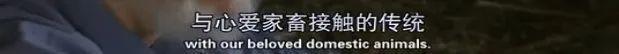 这次疫情让世界明白中国的重要性,到今天疫情怎么样了