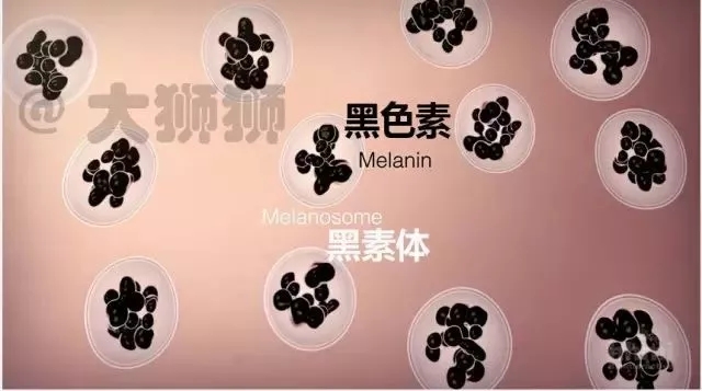 欧美美白祛斑,欧美祛斑美白
