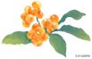 适合学生读的自传,自传学生