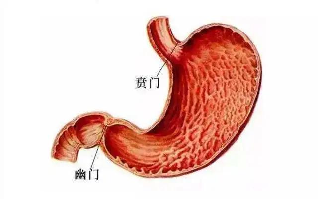 宝宝吐奶了怎么办科普,宝宝吐奶怎么办1分钟带你了解