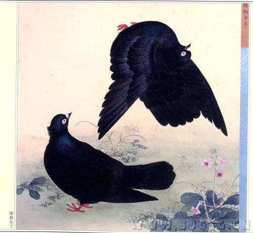 北京鸽哨制作,北京鸽哨晨曲